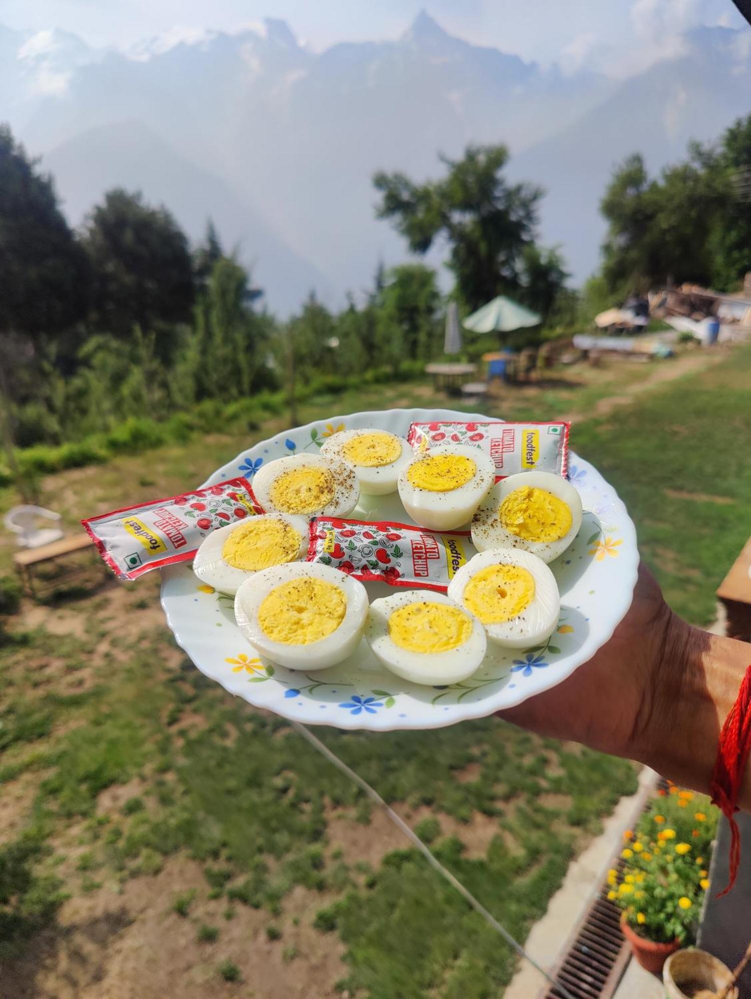 Silk Route Home Stay Kalpa Extérieur photo